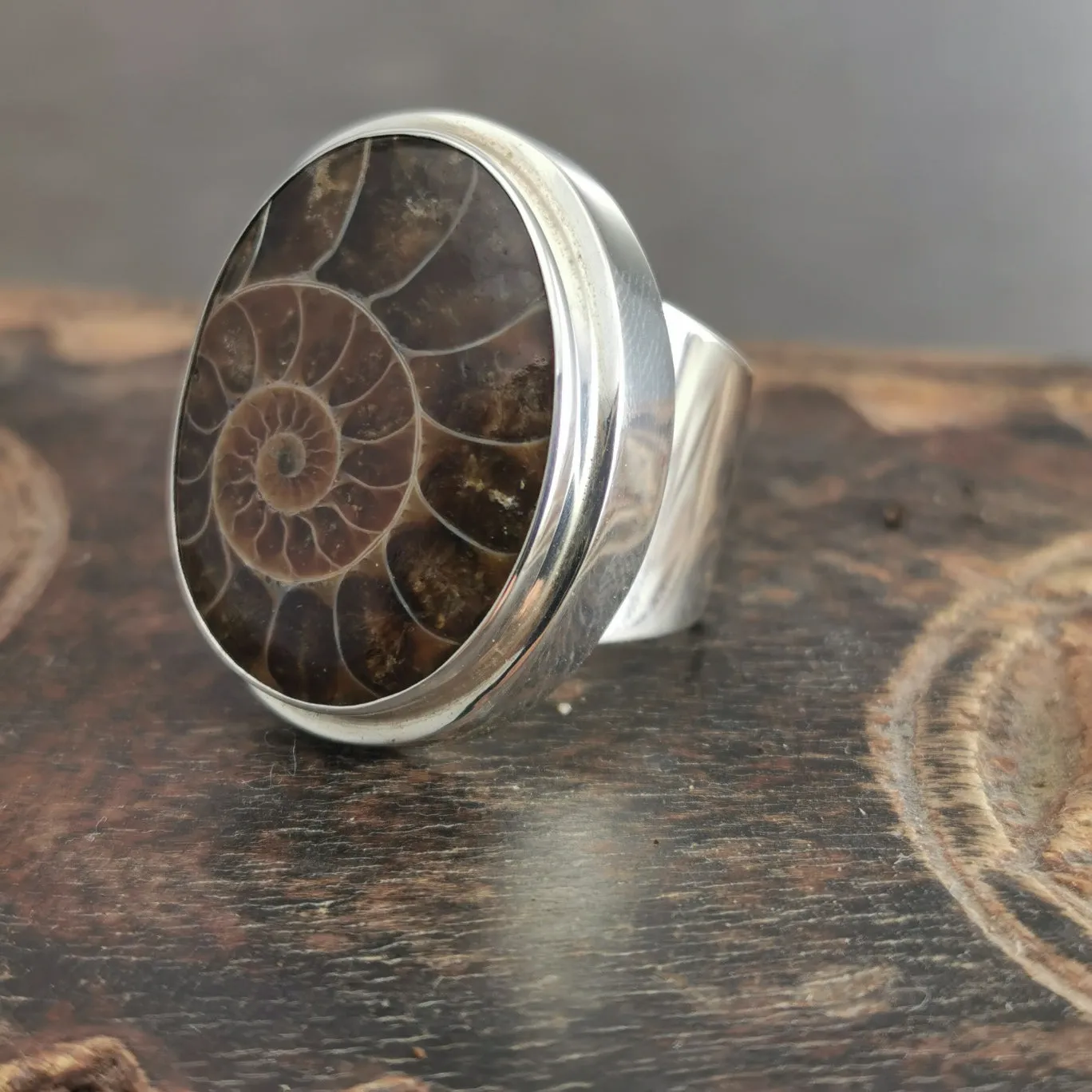 Large Ammonite Fossil Silver Ring