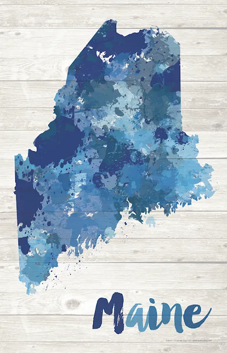 Maine Paint Splatter Silhouette