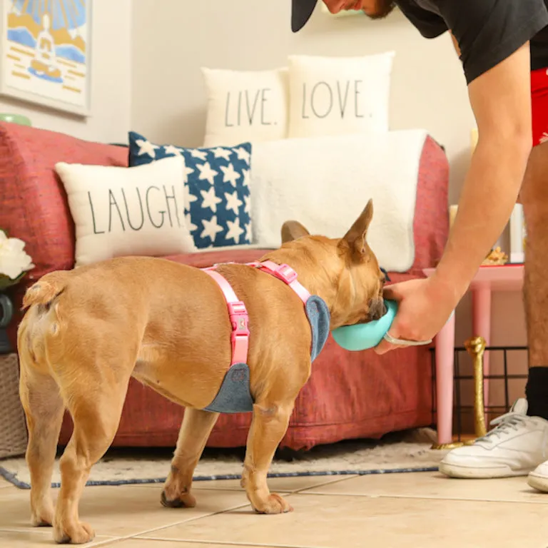 Pink Toy Doggie - Denim Pet Harness