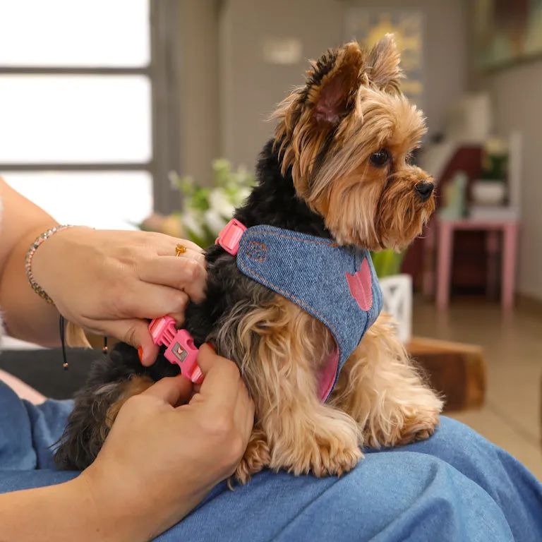 Pink Toy Doggie - Denim Pet Harness